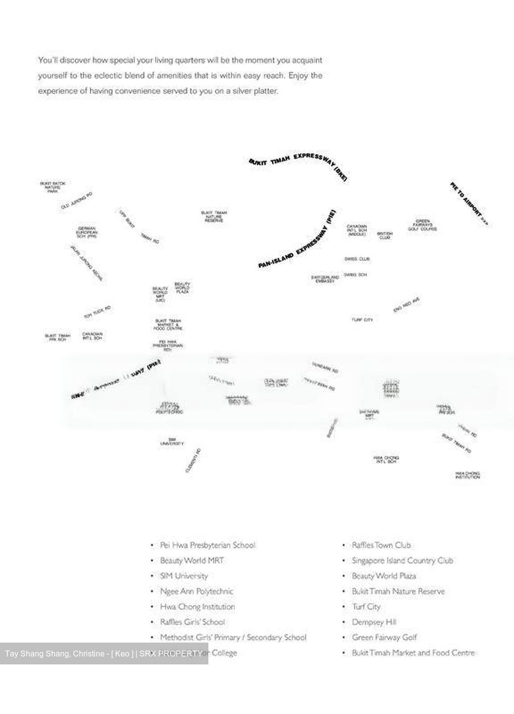 Suites @ Bukit Timah (D21), Shop House #460183101